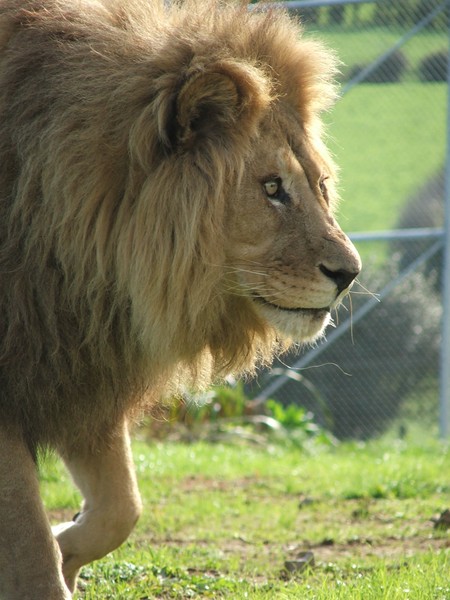 Eddie will be missed by everyone at Franklin Zoo